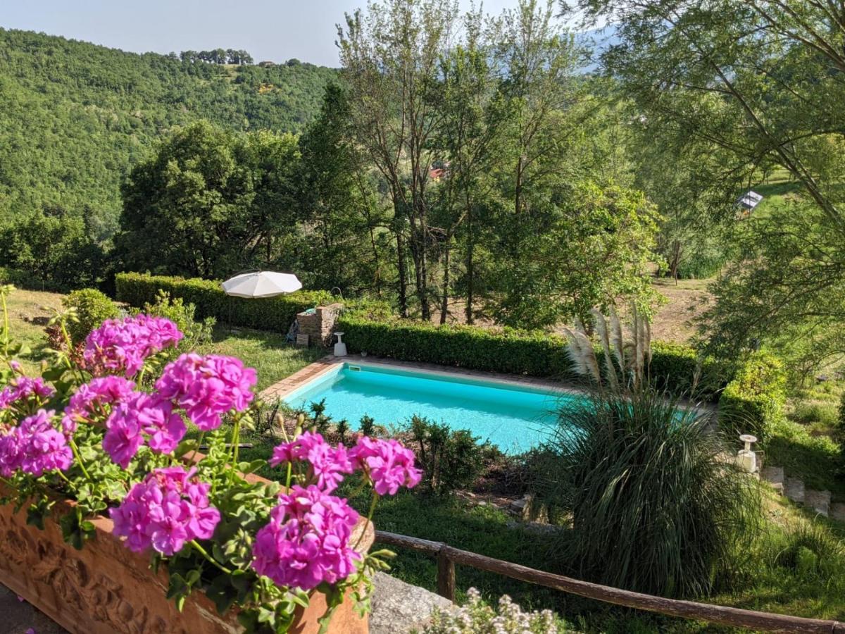 Agriturismo Casentino - Fattoria Ventrina Martina エクステリア 写真