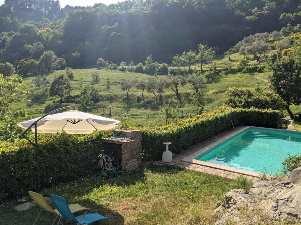 Agriturismo Casentino - Fattoria Ventrina Martina エクステリア 写真